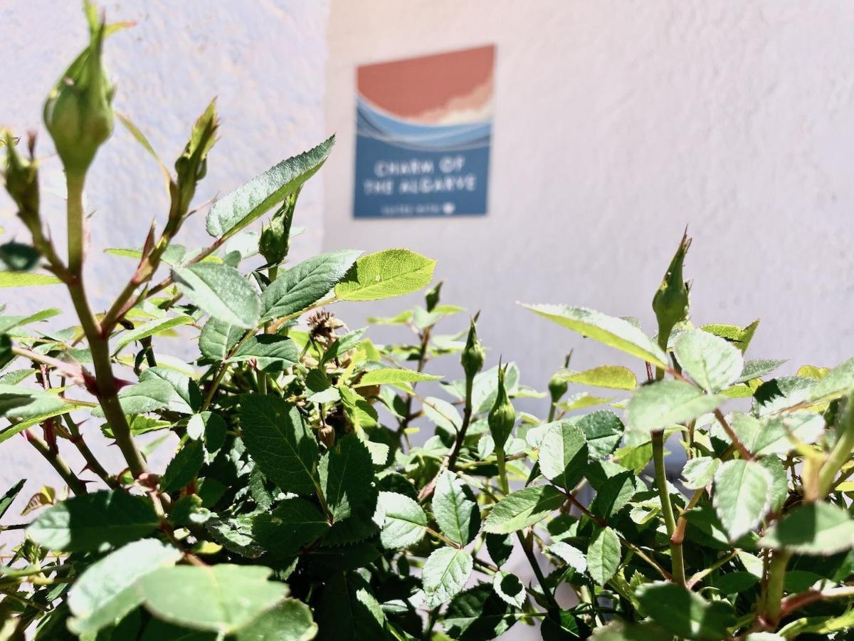 Charm Of The Algarve, Luxury Guesthouse Adults Only Ольян Экстерьер фото